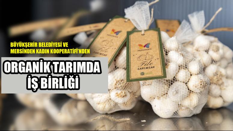 MERSİN BÜYÜKŞEHİR, TARLADAN PAZARA ORGANİK ÜRETİCİNİN YANINDA