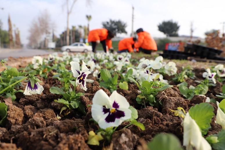 BÜYÜKŞEHİR PARK VE BAHÇELER EKİBİ, ÜÇ AYDA 197 BİN BİTKİYİ TOPRAKLA BULUŞTURDU