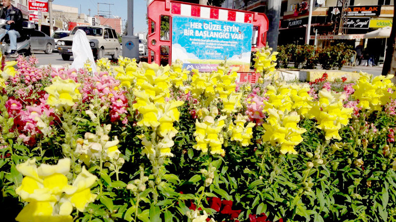 Büyükşehir Ekipleri Tarsus’ta Caddelerde Bitki Bakım Çalışmalarını Hızlandırıldı