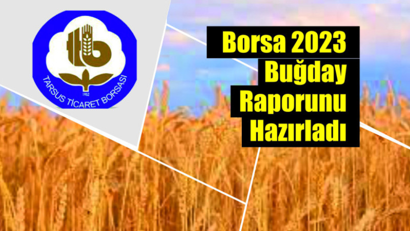 Tarsus Haber/ Borsa 2023 Buğday Raporunu Hazırladı