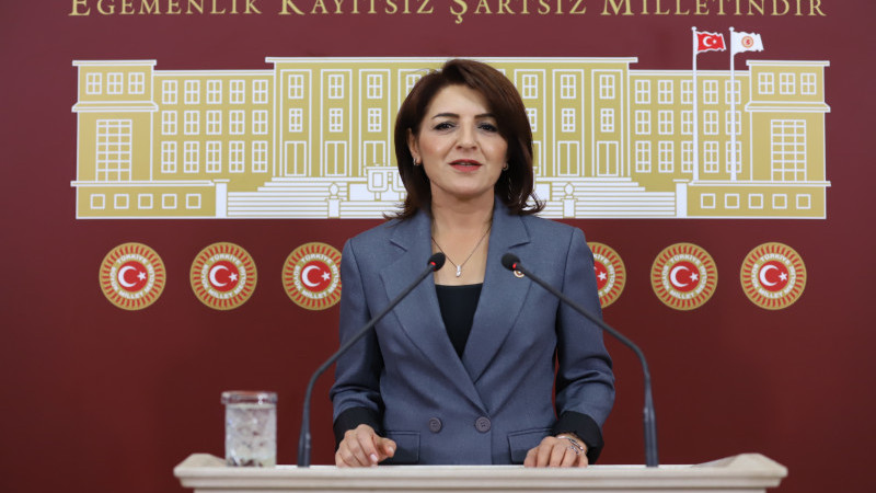 CHP’Lİ KIŞ: “ÜNİVERSİTELİLERİN BARINMA SORUNUNU TBMM’DE ÇÖZELİM”