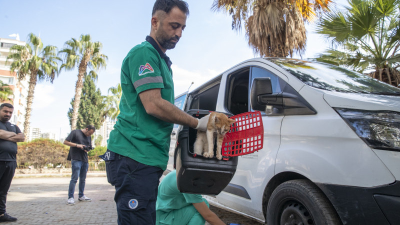 BÜYÜKŞEHİR’İN HAYVAN AMBULANSI SAYISI 5’E ÇIKARILDI