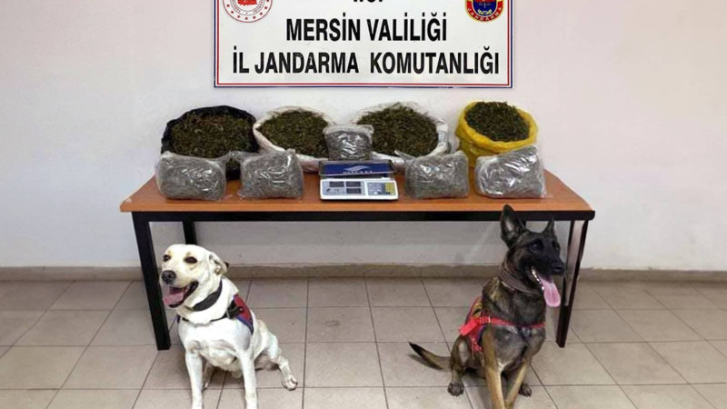 JANDARMA ZEHİR TACİRLERİNE GÖZ AÇTIRMIYOR; 3 TUTUKLU