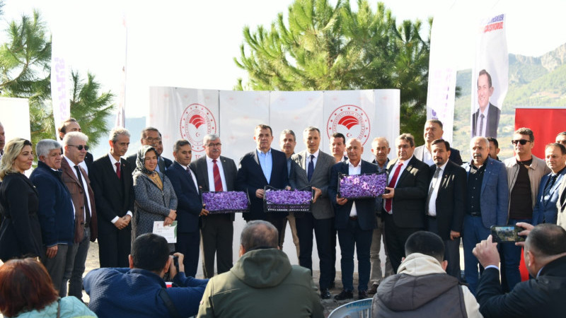 Mersin Haber/ Yenişehir’de safran üretimi üçüncü yılında 