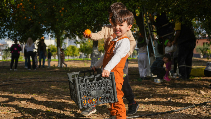 Tarsuslu Minikler, Tarım Yaşam Alanı ve Tarım Müzesi’nde Portakal Hasadı Yaptı