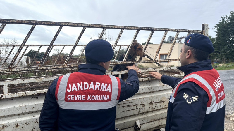 Özel eğitimli av köpeğini çalarak başkasına satan şahıs yakalandı.