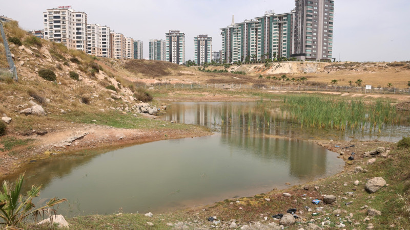Toroslar'da kaderine terk edilen gölet alanında ıslah çalışmalarına başlandı