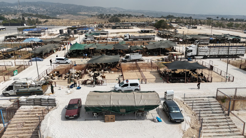 Toroslar, Mersin'in en büyük Kurban pazarıyla bayrama hazır 