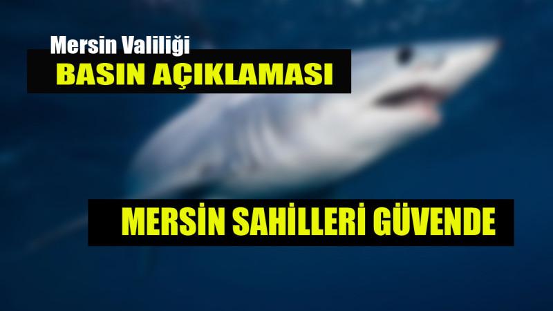 Köpek Balığı Görüntüleriyle İlgili Açıklama: Mersin Sahilleri Güvende