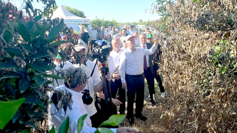 TZOB Genel Başkanı Şemsi Bayraktar, Tarsus'ta zirai afet bölgelerini ziyaret etti 