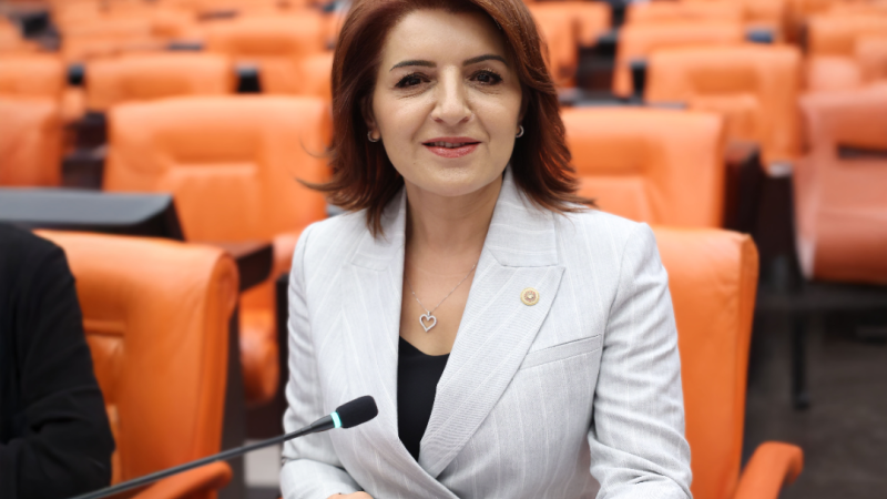 CHP'li Gülcan Kış: “TÜİK Makyaj Yapıyor, Halk Sofrada Aç Kalıyor!”