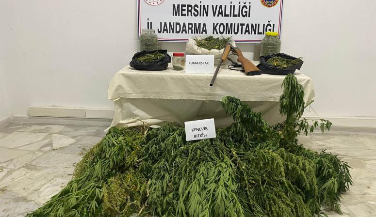 ÇADIRA UYUŞTURUCU OPERASYONU 1 KİŞİ TUTUKLANDI
