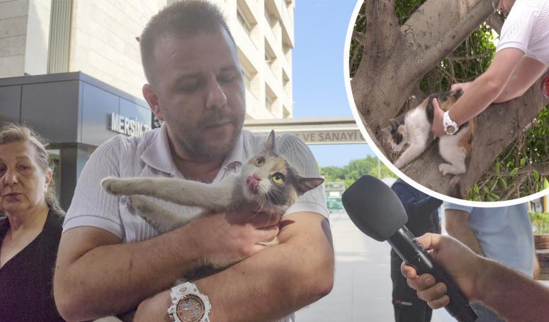 KAYIP KEDİ LATTE’Yİ BÜYÜKŞEHİR PERSONELİ BULUP KURTARDI