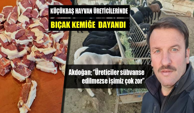 Akdoğan; ‘’Üreticiler sübvanse edilmezse işimiz çok zor’’
