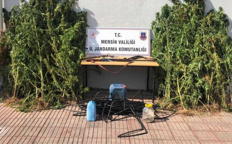 UYUŞTURUCU  OPERASYONU: 2 KİŞİ YAKALANDI