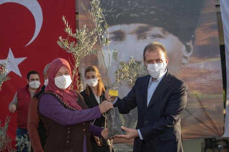 MERSİN BÜYÜKŞEHİR’DEN ÜRETİCİLERE BİNLERCE ZEYTİN FİDANI DESTEĞİ
