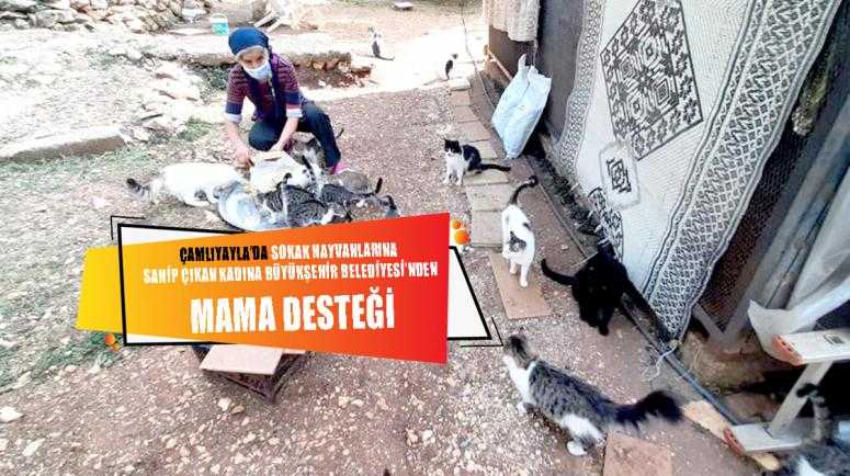 ÇAMLIYAYLA’DA SOKAK HAYVANLARINA SAHİP ÇIKAN KADINA BÜYÜKŞEHİR BELEDİYESİ’NDEN MAMA DESTEĞİ