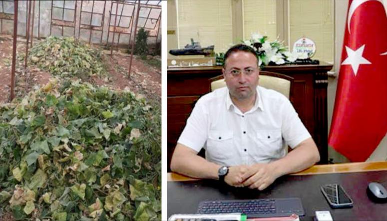 AVCI, KAPANMANIN ÇİFTÇİYE FATURASI AĞIR OLDU