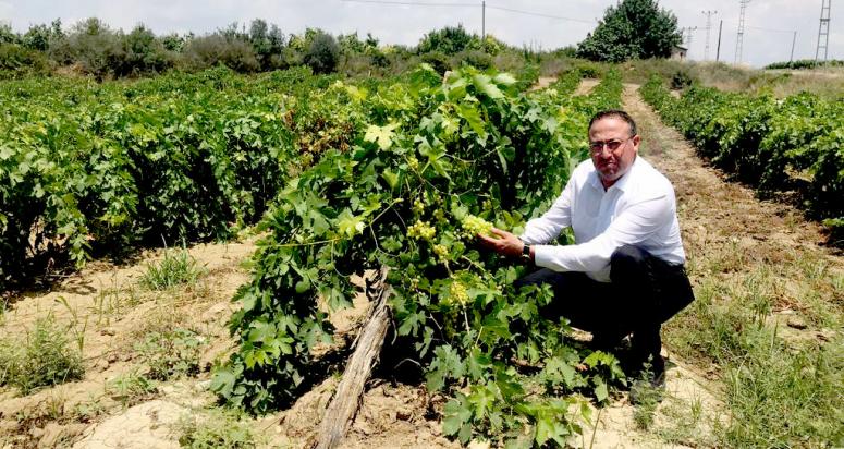 TARSUS  ZİRAAT  ODASI BAŞKANI AVCI’DAN ÜZÜM ÜRETİCİSİNE GEÇMİŞ OLSUN ZİYARETİ