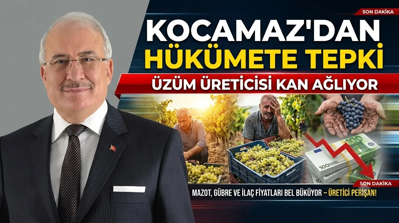Kocamaz’dan Hükümete Tepki Üzüm Üreticisi Kan Ağlıyor