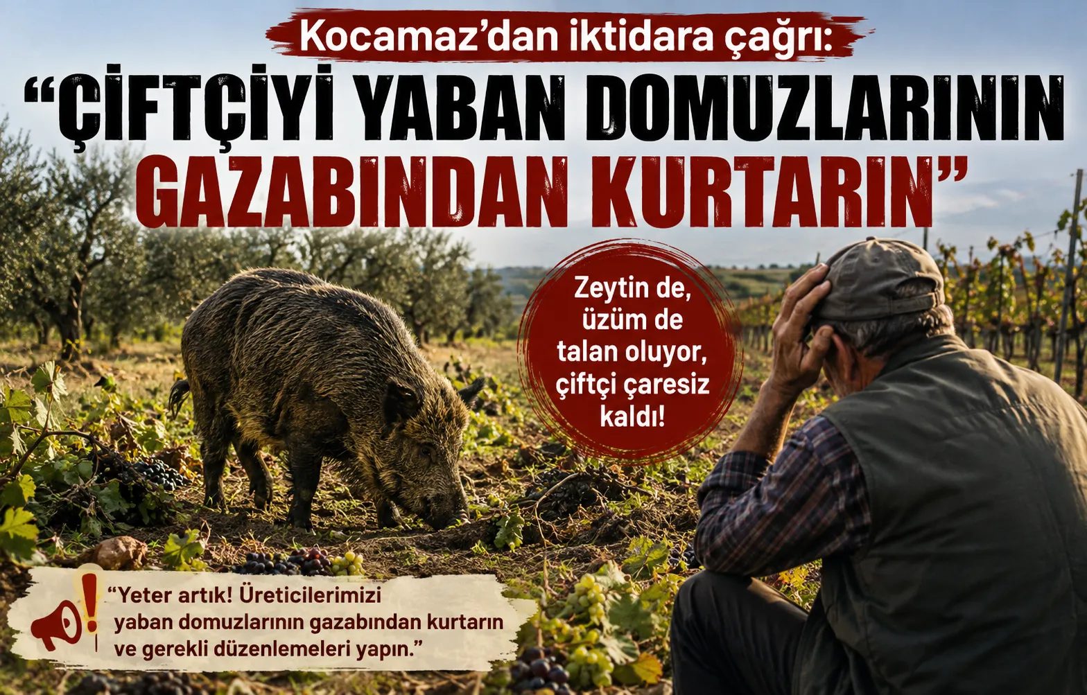 Kocamaz: “Çiftçiyi Yaban Domuzlarının Gazabından Kurtarın”