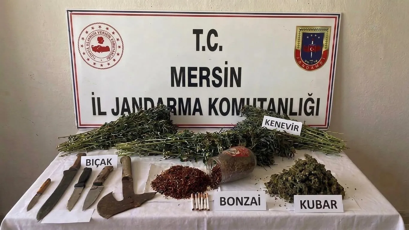 MERSİN’DE JANDARMADAN YASA DIŞI KENEVİR OPERASYONU