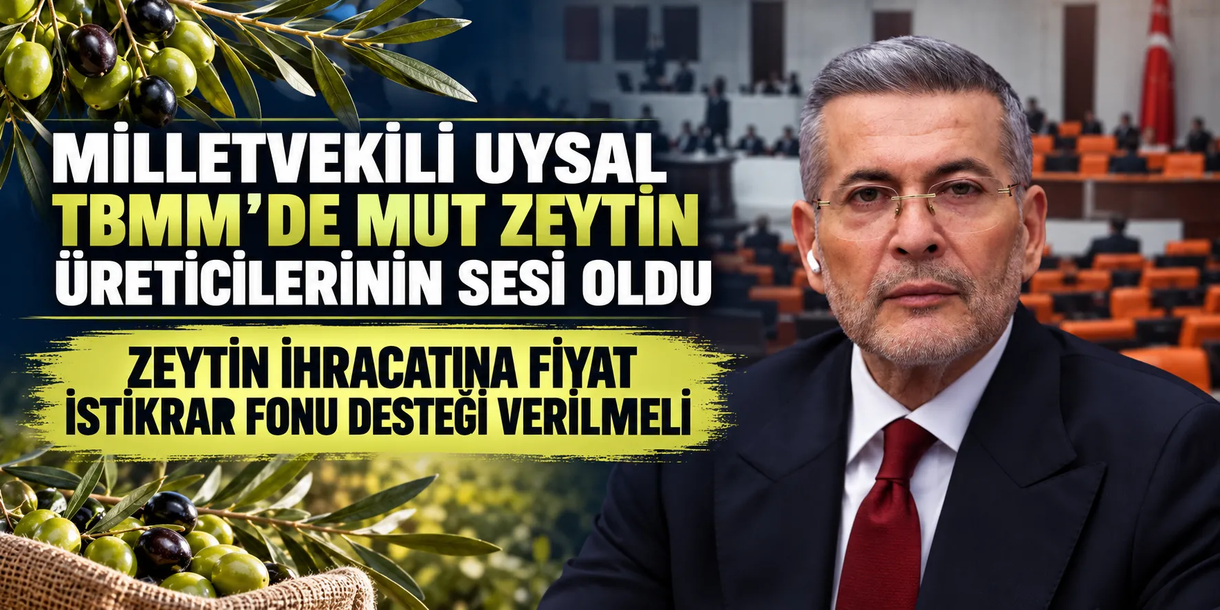 MİLLETVEKİLİ UYSAL TBMM’DE MUT ZEYTİN ÜRETİCİLERİNİN SESİ OLDU: ZEYTİN İHRACATINA FİYAT İSTİKRAR FONU DESTEĞİ VERİLMELİ